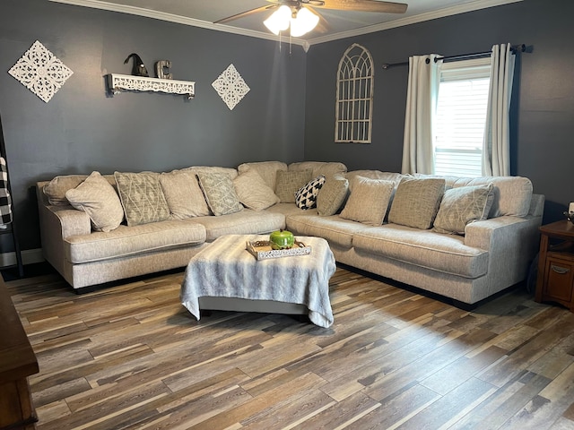 living room featuring crown molding, ceiling fan, and dark wood-type flooring