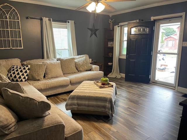 living room featuring hardwood / wood-style flooring, ceiling fan, and crown molding