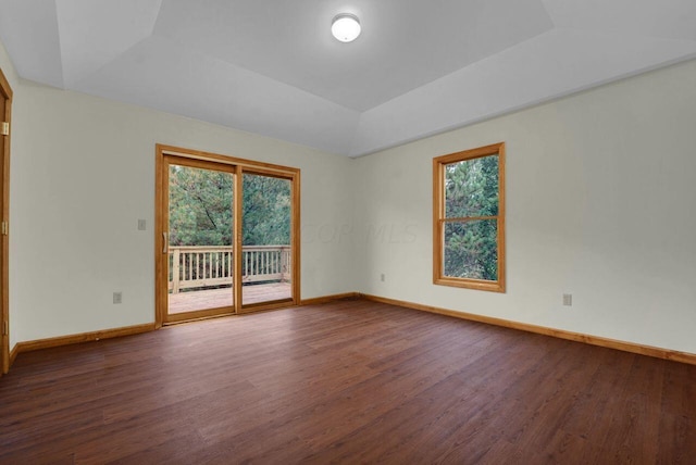 spare room with wood-type flooring, a raised ceiling, and plenty of natural light