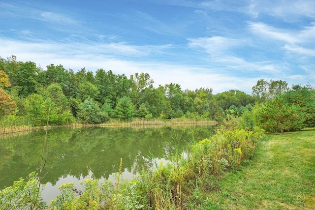 property view of water