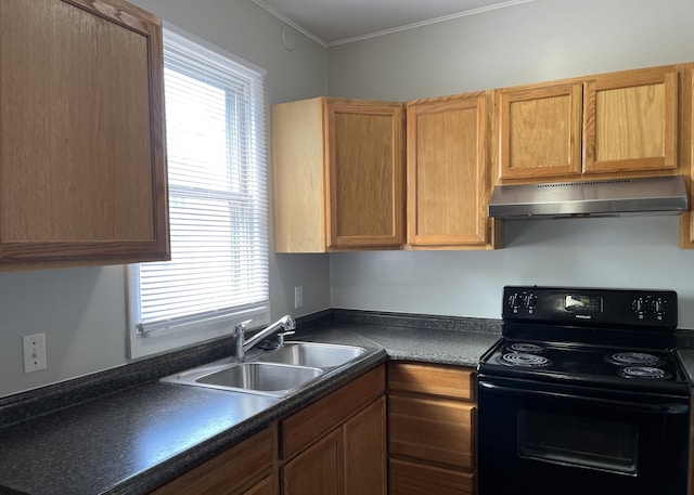 kitchen with black electric range oven, a wealth of natural light, ornamental molding, and sink