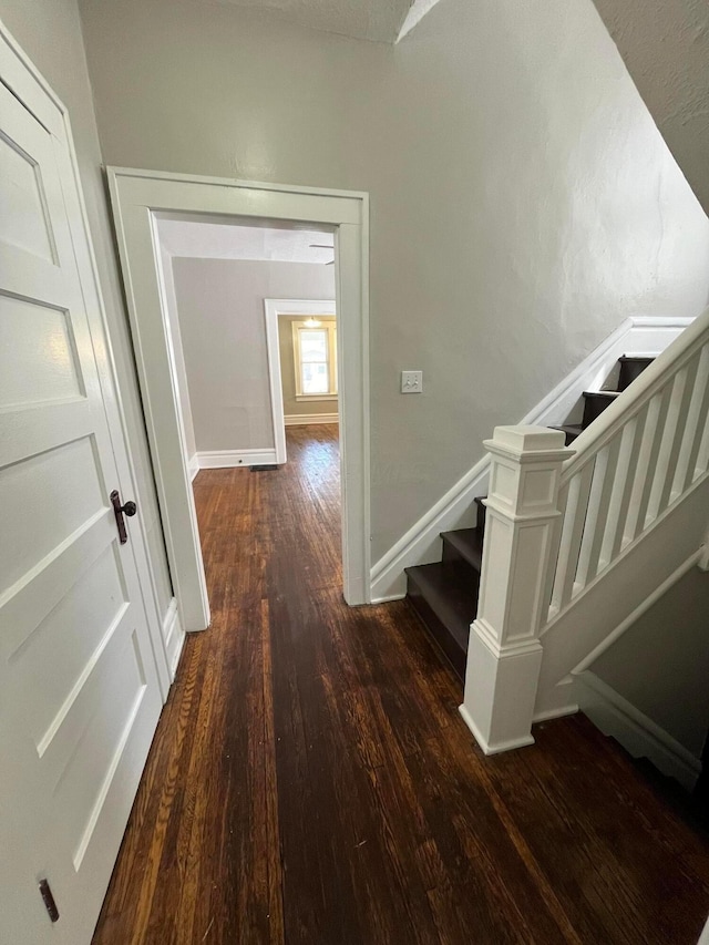 hall with dark hardwood / wood-style flooring