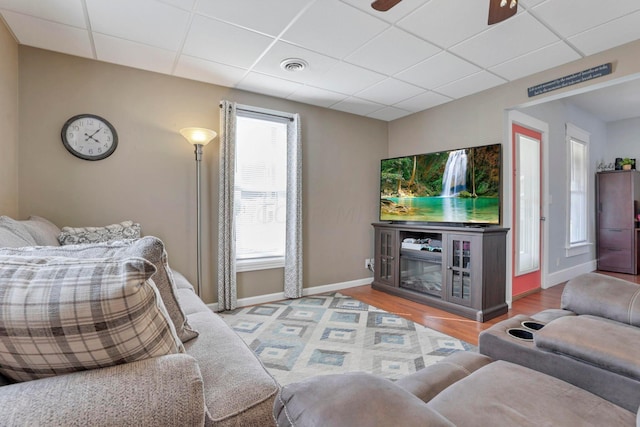 living room with ceiling fan, a drop ceiling, and wood-type flooring