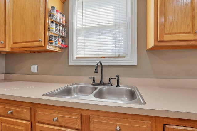 kitchen with sink