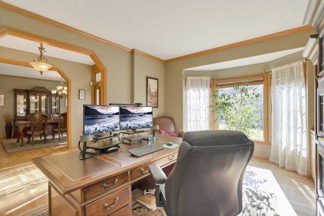 office with light hardwood / wood-style floors and crown molding