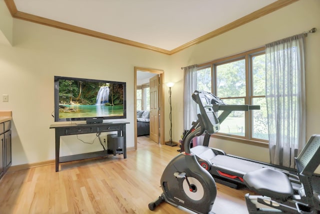 exercise area featuring crown molding and light wood-type flooring