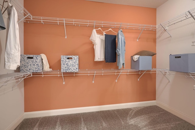 walk in closet with carpet flooring