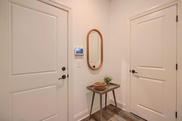 entryway featuring wood-type flooring