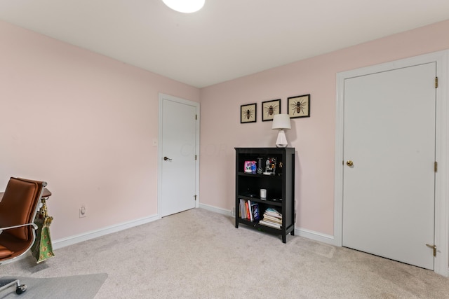 interior space with light colored carpet