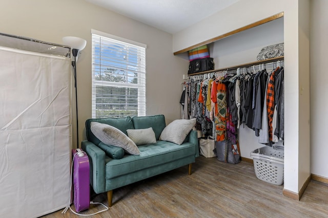 walk in closet with hardwood / wood-style flooring