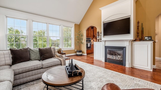 living room featuring hardwood / wood-style flooring and high vaulted ceiling