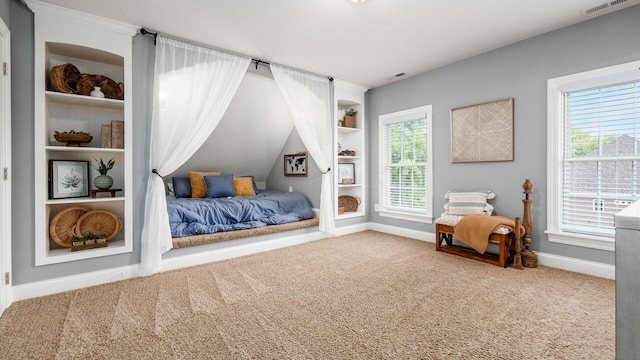 carpeted bedroom featuring multiple windows