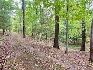 73350 Brooks Martin Rd, Mcarthur, OH 45651 - photo 3