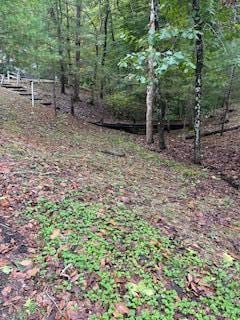 73350 Brooks Martin Rd, Mcarthur, OH 45651 - photo 31