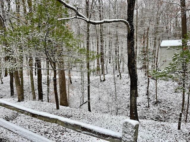 view of snowy view