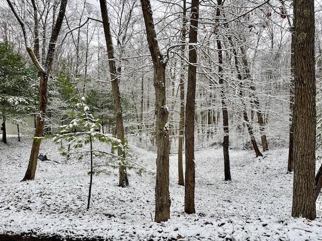 view of snowy view