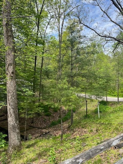 73350 Brooks Martin Rd, Mcarthur, OH 45651 - surrounding community featuring a view of trees