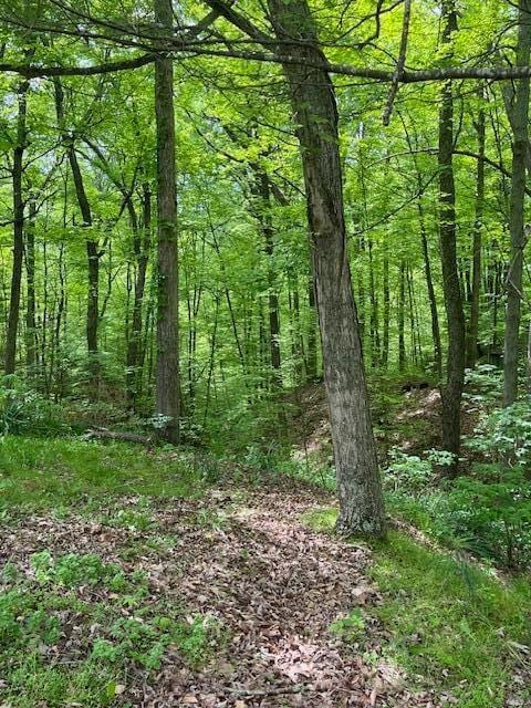 73350 Brooks Martin Rd, Mcarthur, OH 45651 - view of woods