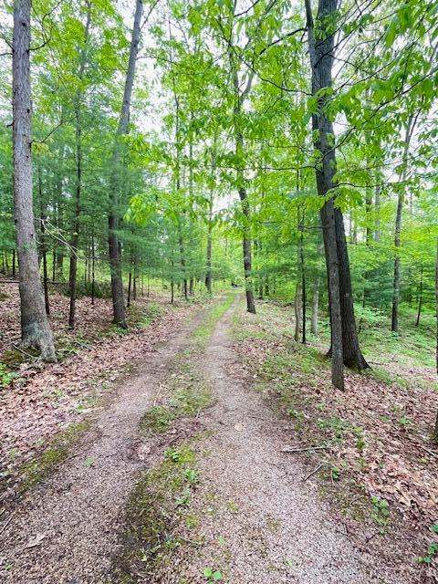 73350 Brooks Martin Rd, Mcarthur, OH 45651 - view of dirt / gravel road featuring a view of trees