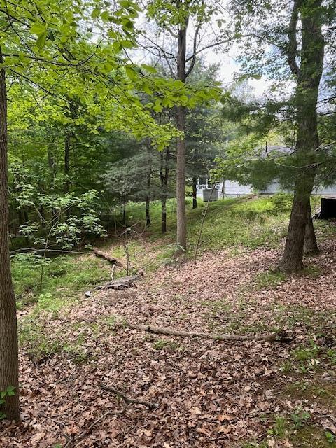 73350 Brooks Martin Rd, Mcarthur, OH 45651 - view of local wilderness with a large body of water