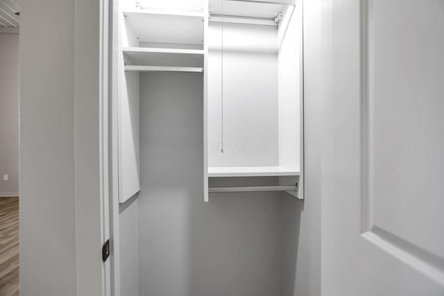 spacious closet with hardwood / wood-style flooring