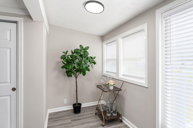 interior space featuring hardwood / wood-style floors, a textured ceiling, and a wealth of natural light