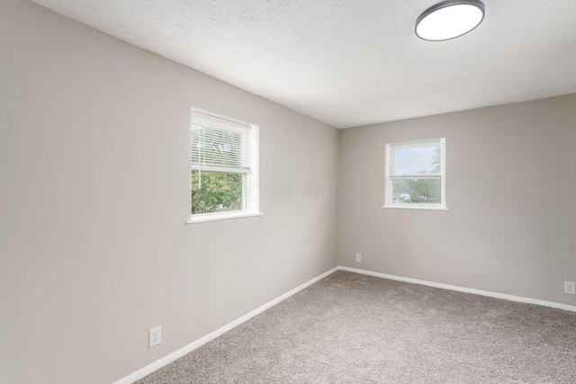 carpeted empty room with a healthy amount of sunlight and a textured ceiling