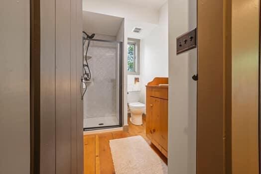 bathroom with vanity, hardwood / wood-style flooring, toilet, and an enclosed shower