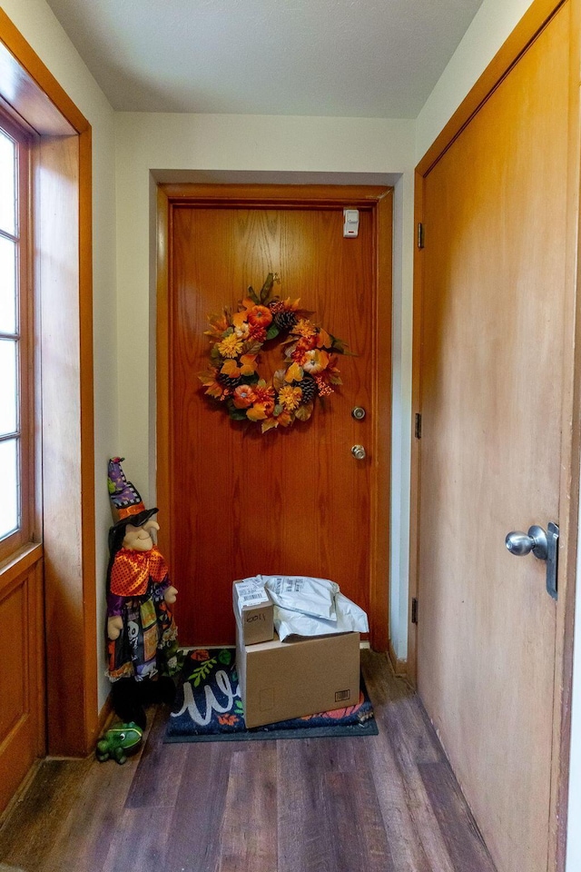 doorway to outside with dark hardwood / wood-style flooring