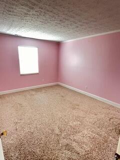 carpeted empty room featuring a textured ceiling and crown molding