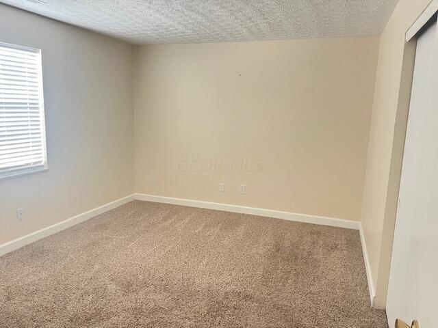 spare room featuring a textured ceiling and carpet floors