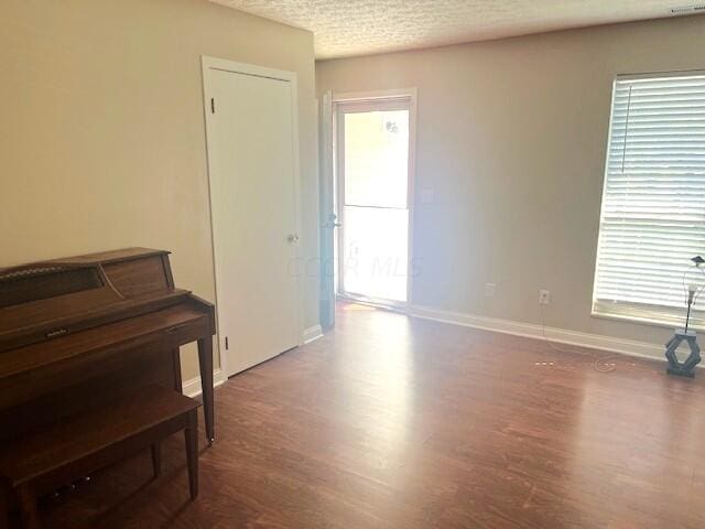 miscellaneous room with a wealth of natural light, dark wood-type flooring, and a textured ceiling