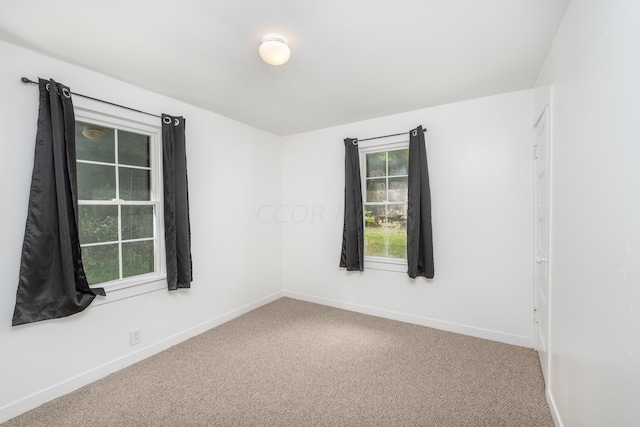 spare room with carpet