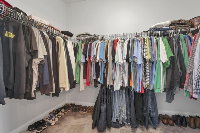 spacious closet featuring carpet