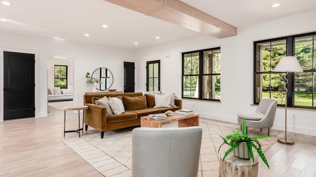 living room featuring light hardwood / wood-style flooring