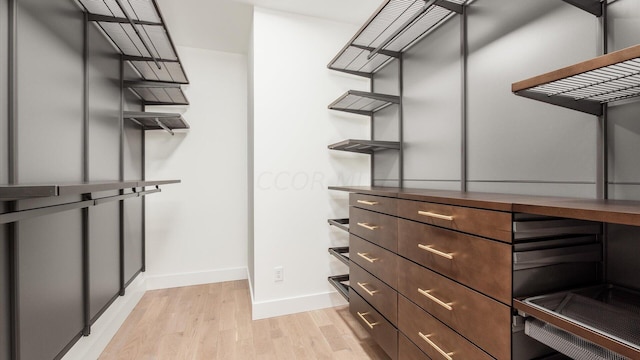 spacious closet with light wood-type flooring