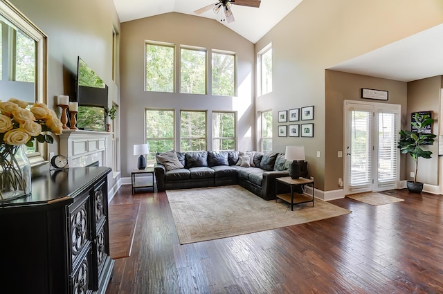 living room featuring dark hardwood / wood-style flooring and a wealth of natural light