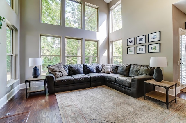 living room with a wealth of natural light, dark wood-type flooring, and a high ceiling