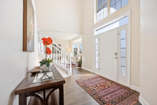 entryway featuring hardwood / wood-style flooring and a high ceiling