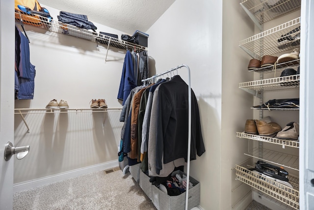 spacious closet with carpet floors