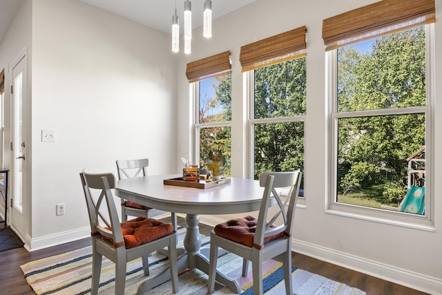 dining space featuring dark hardwood / wood-style floors