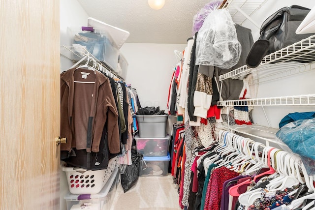 walk in closet with carpet flooring