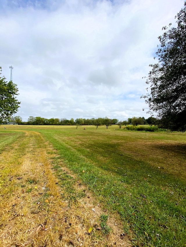 view of yard featuring a rural view