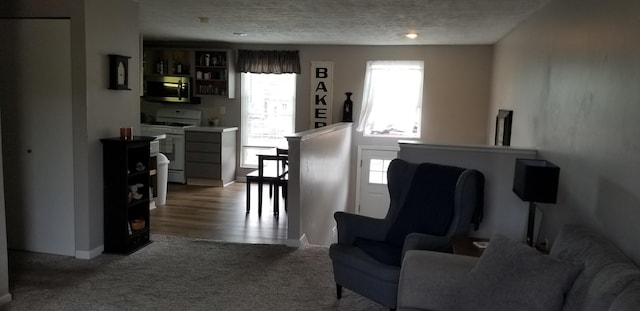 living room with a textured ceiling and light hardwood / wood-style floors