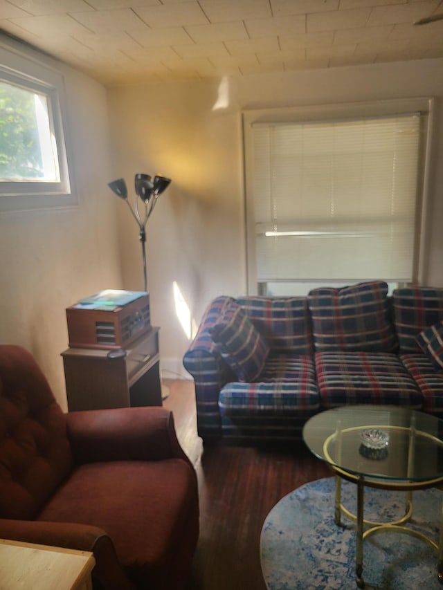 living room with dark wood-type flooring