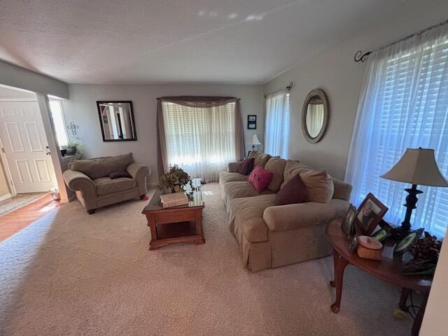 living room with light colored carpet