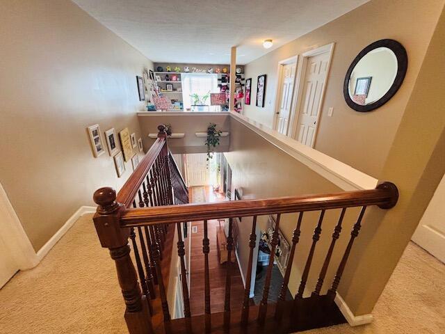 stairway with carpet