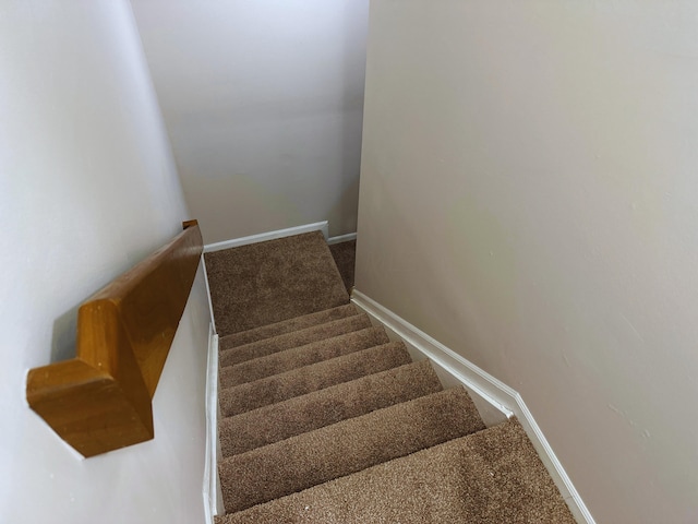 staircase featuring carpet