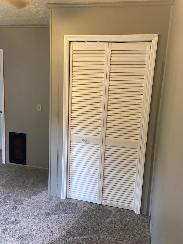 interior details featuring carpet floors