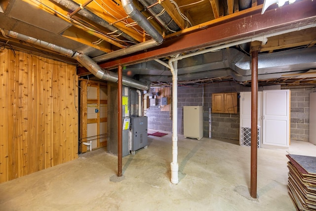 basement with wooden walls